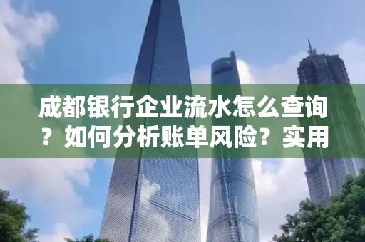 成都银行企业流水怎么查询？如何分析账单风险？实用指南