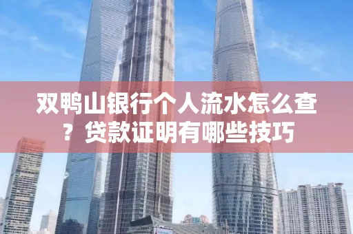 双鸭山银行个人流水怎么查?贷款证明有哪些技巧